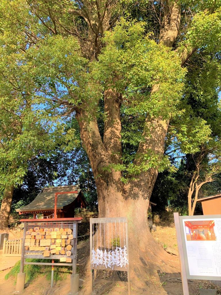 三芳野神社