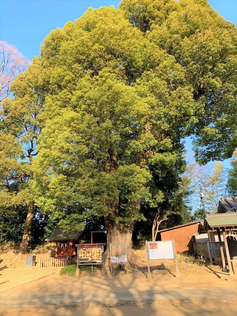 三芳野神社