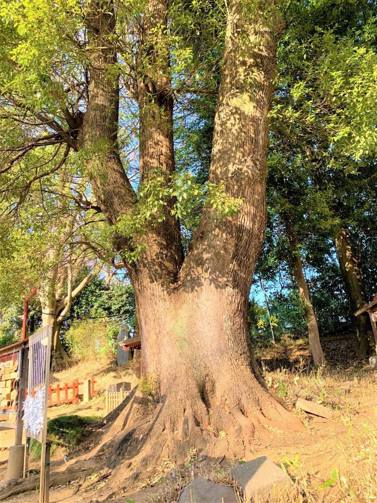 三芳野神社