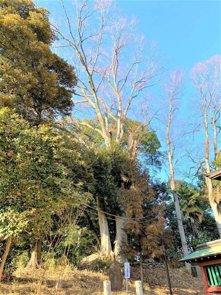 三芳野神社
