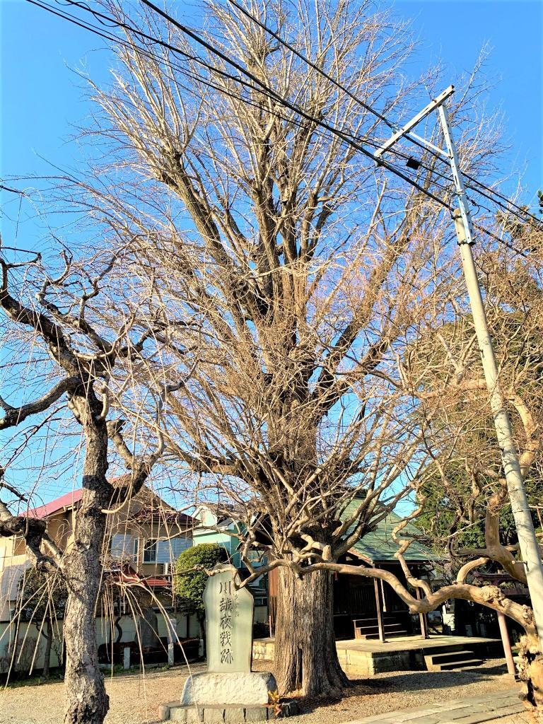 東明寺