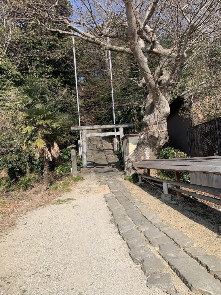 吉見