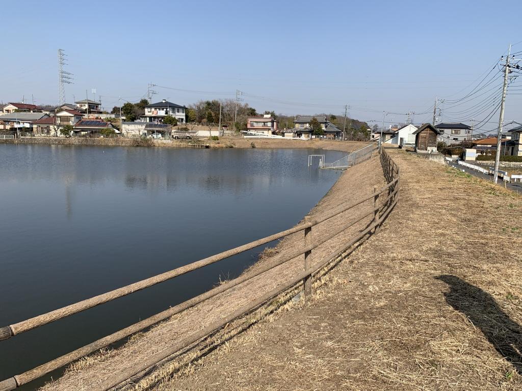 吉見