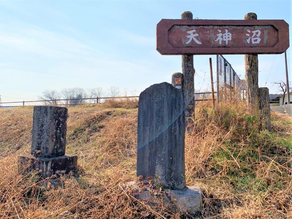 吉見