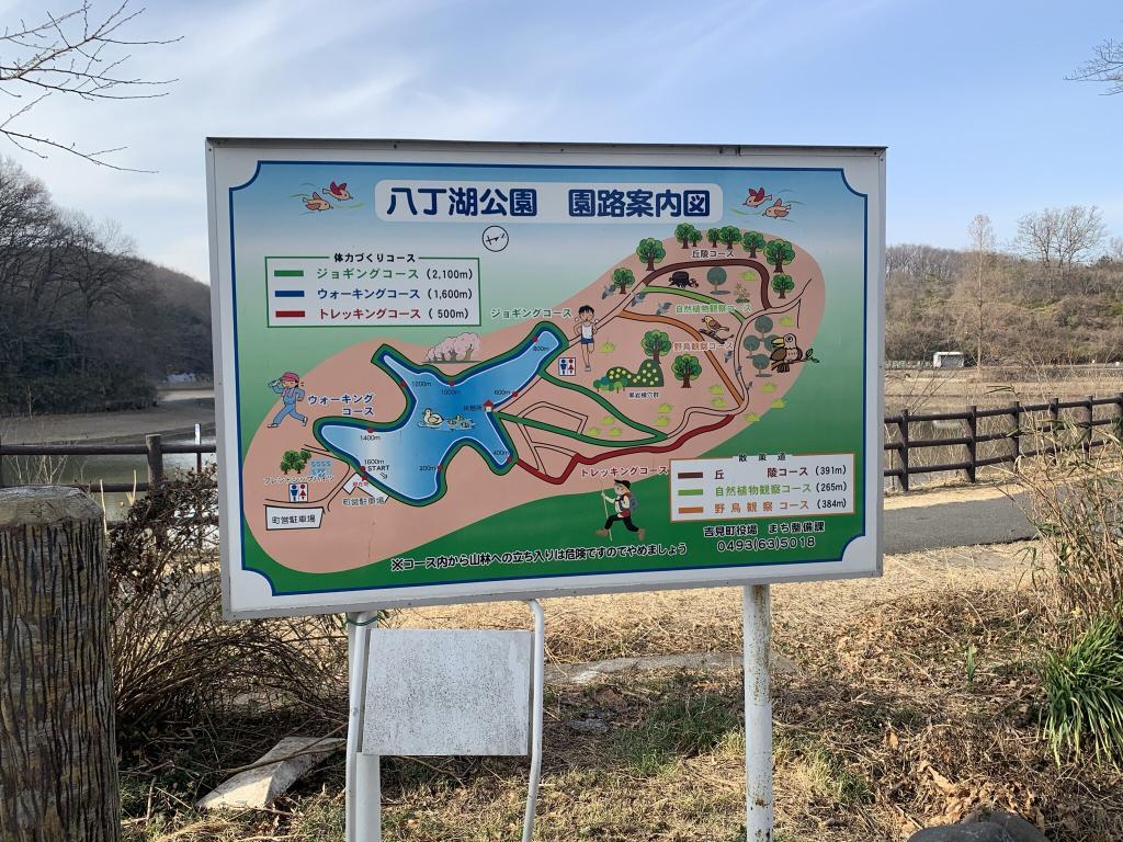 吉見