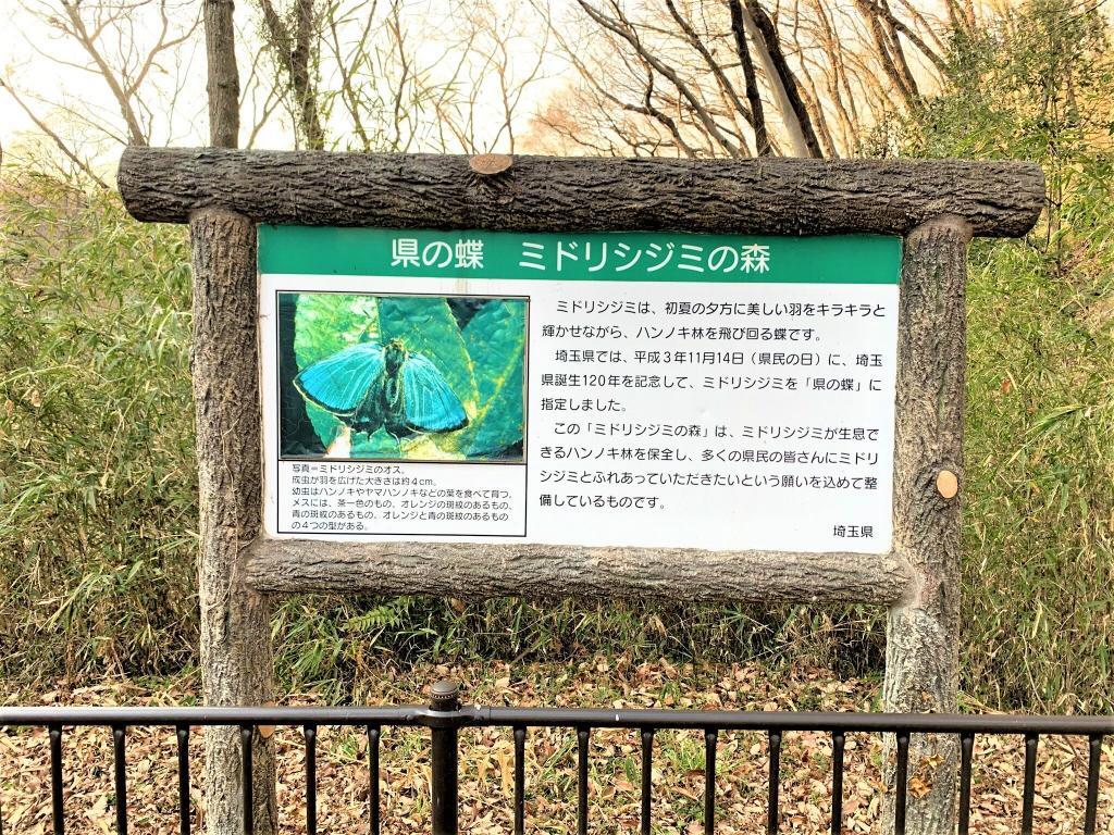 吉見