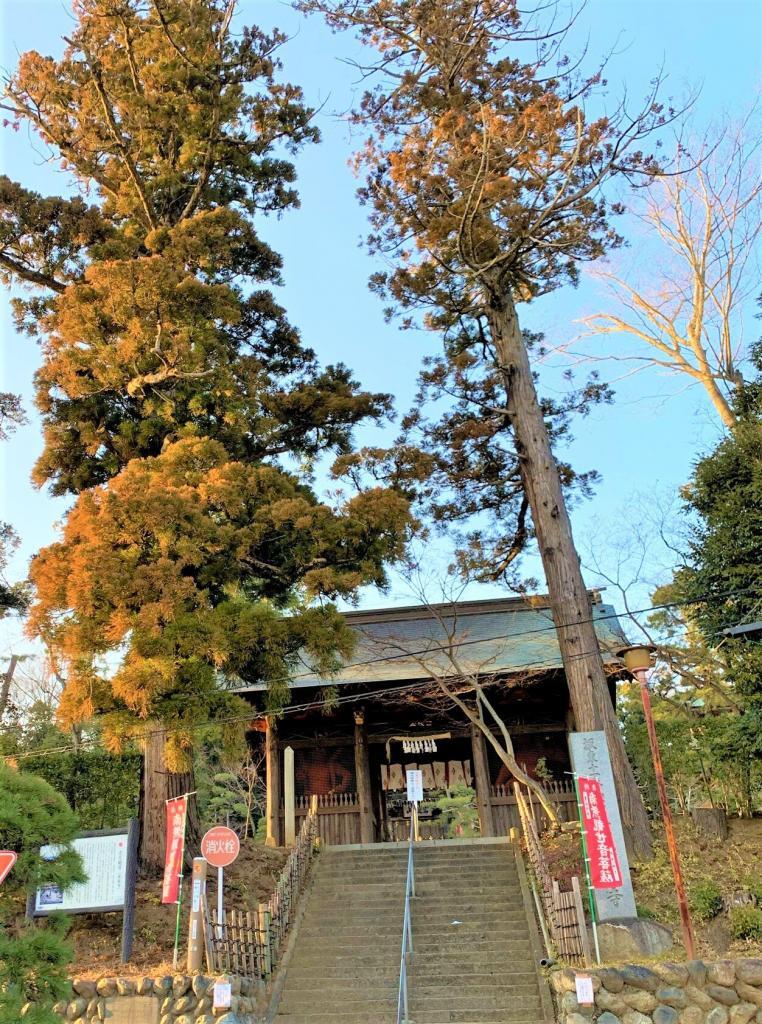 吉見