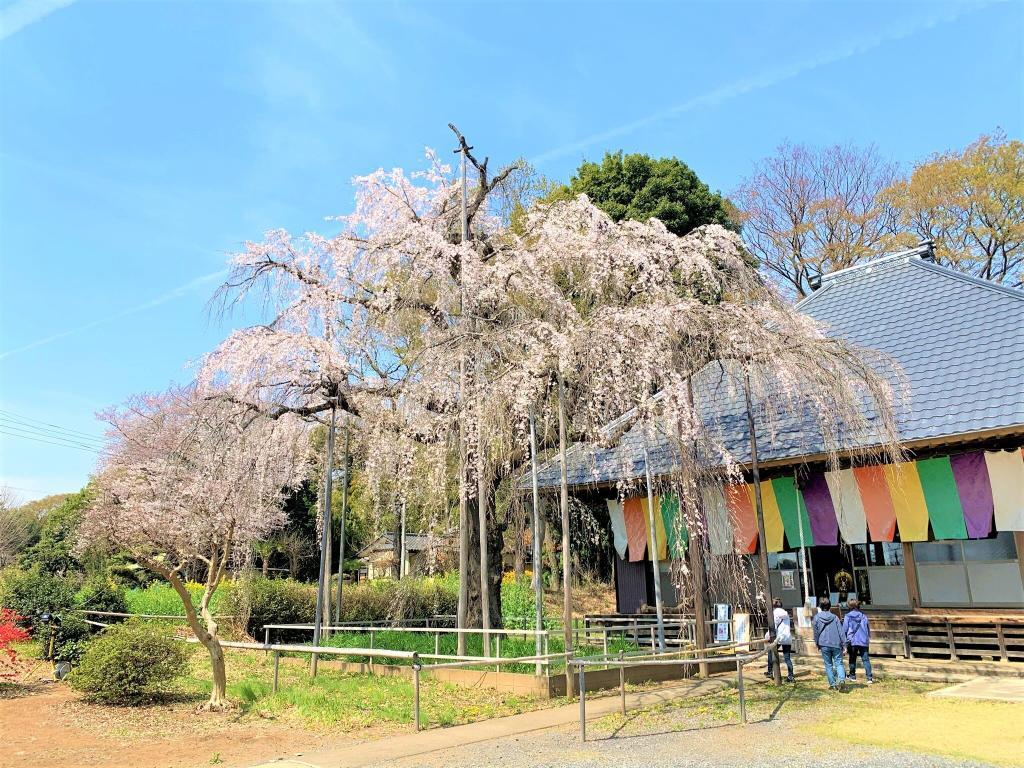 慈眼寺