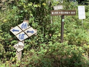 信玄棒道