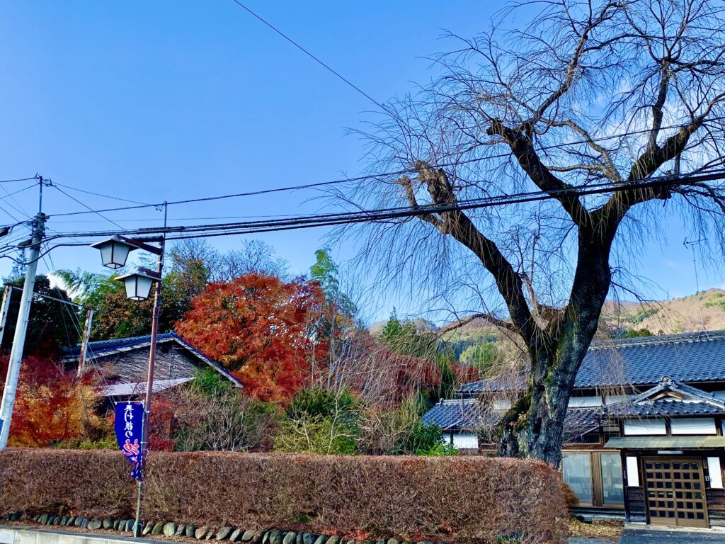 名胡桃城・小川城・猿ヶ京城