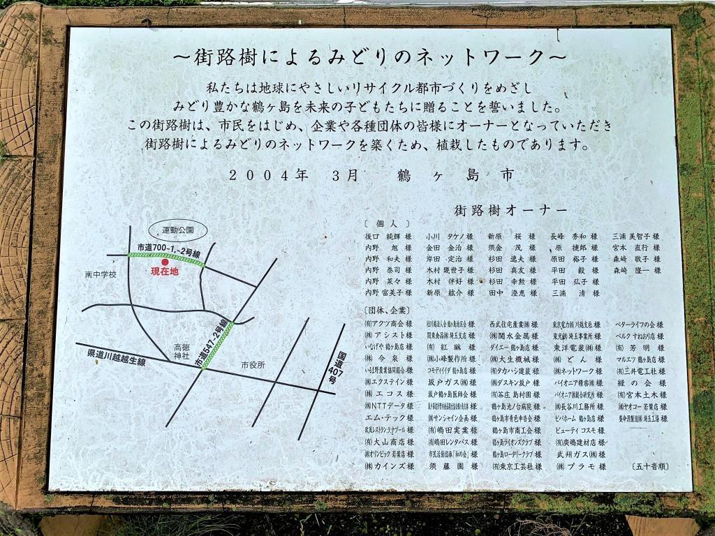 川越　桜