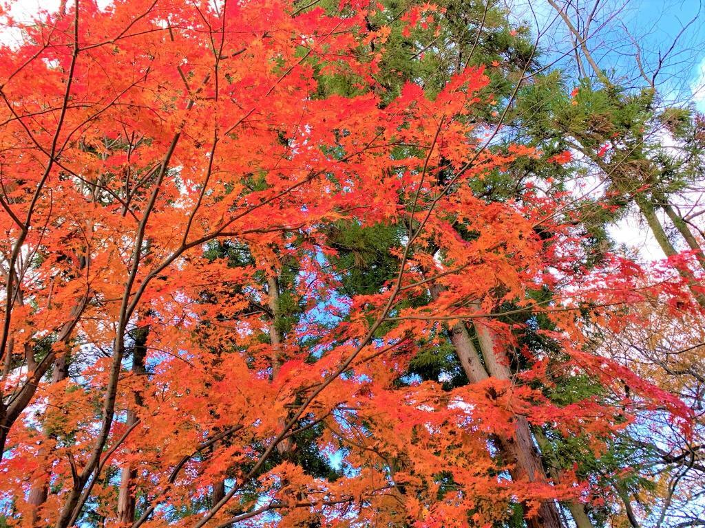 名胡桃城・小川城・猿ヶ京城