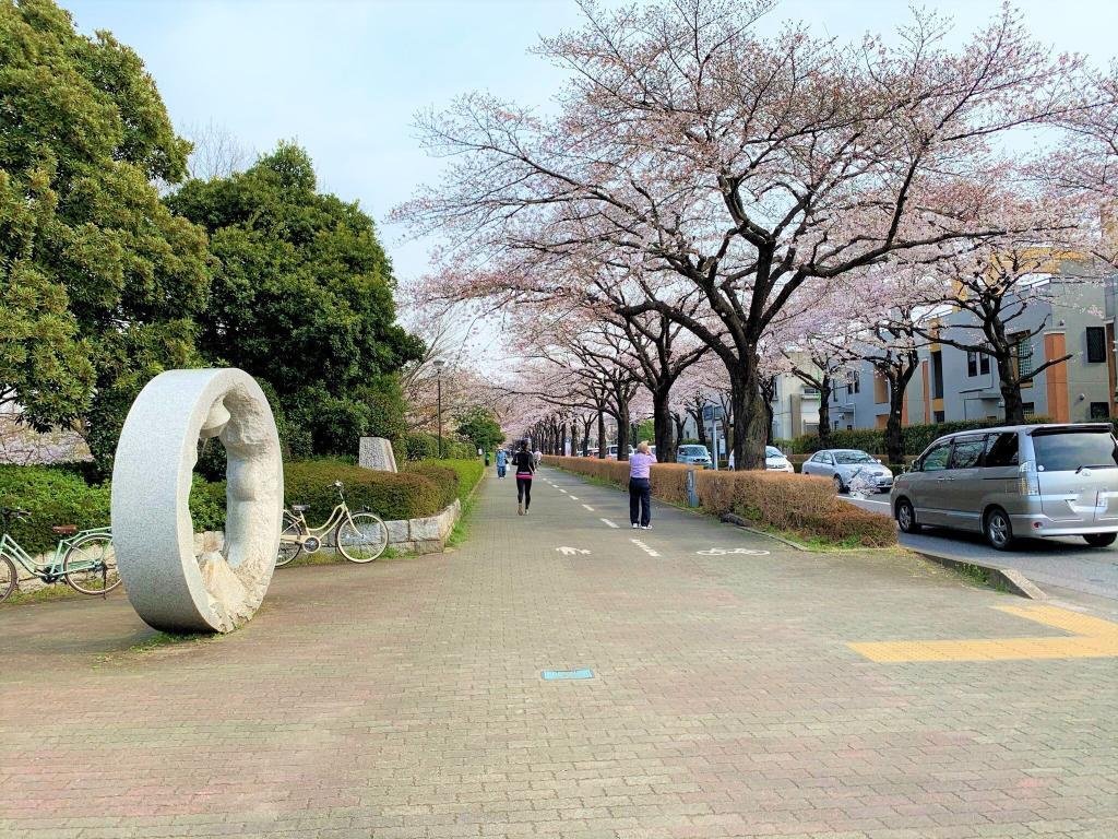 川越　桜