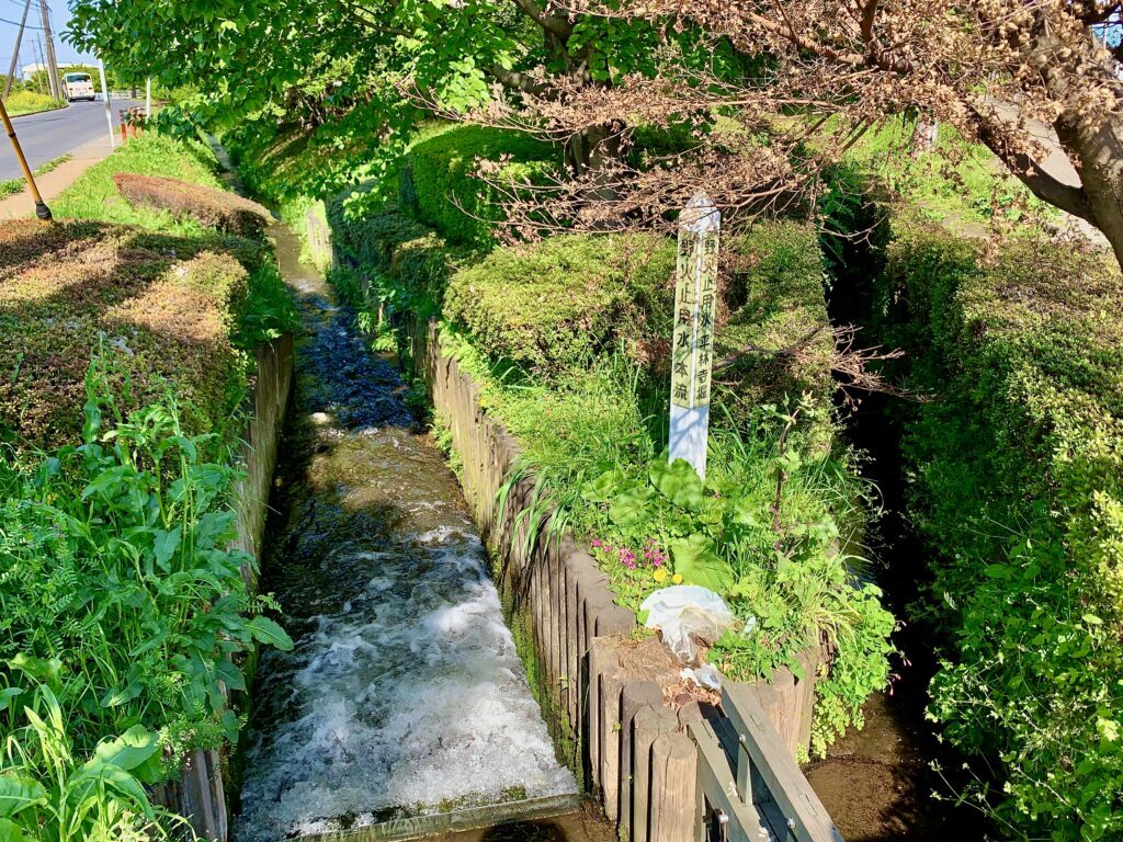 野火止用水