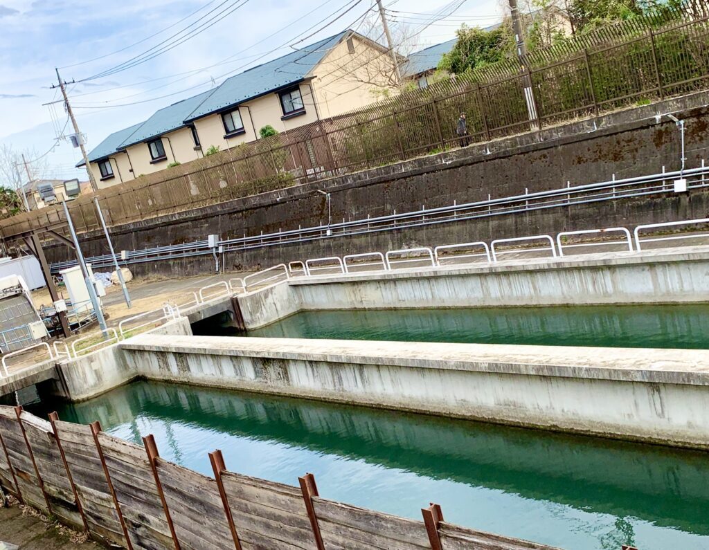 野火止用水