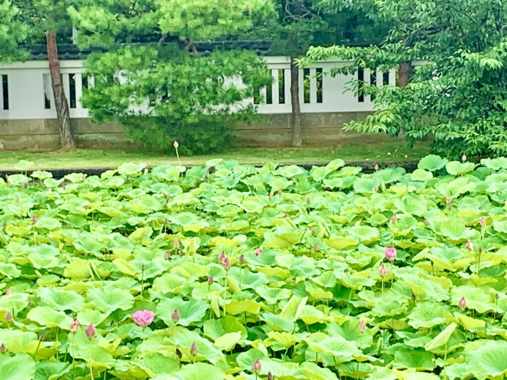遠山記念館