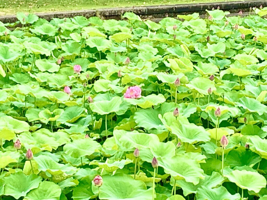 遠山記念館