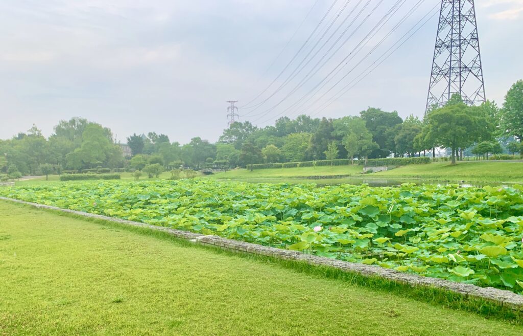 平成の森公園