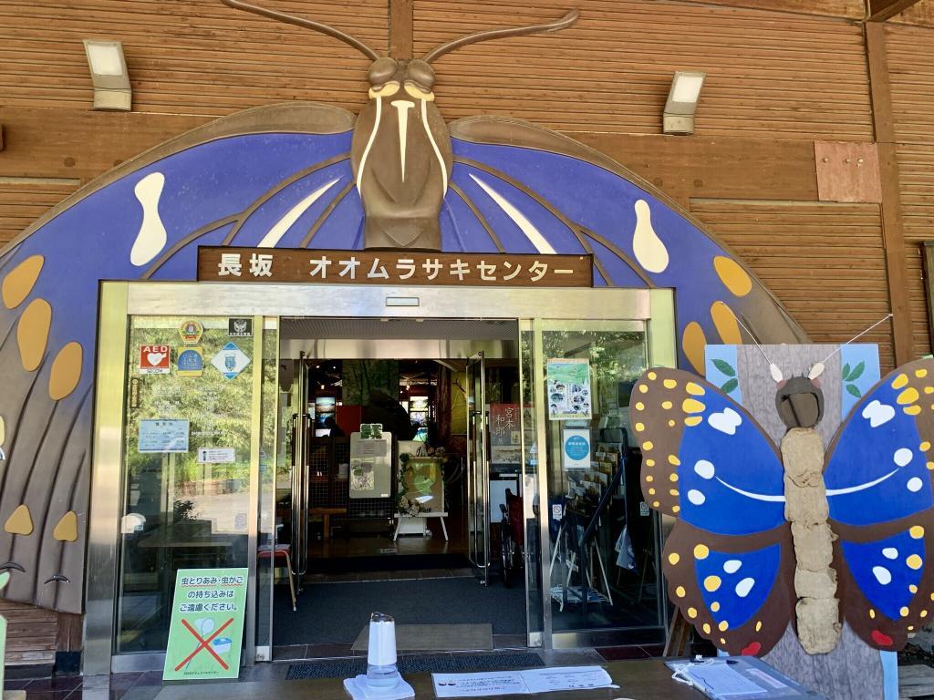 オオムラサキ
