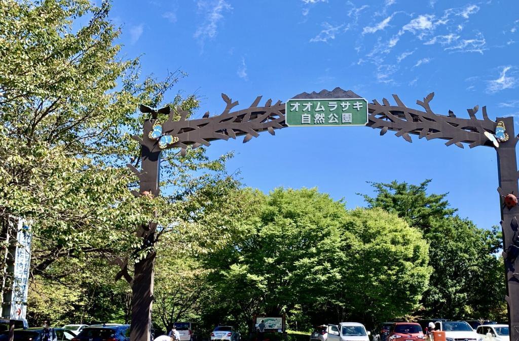 オオムラサキ