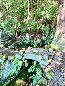 北杜　大滝湧水