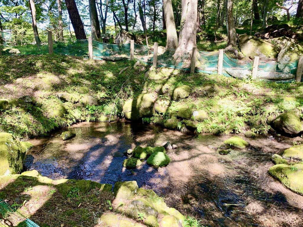 三分一湧水