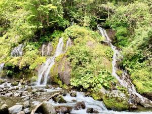 吐竜の滝