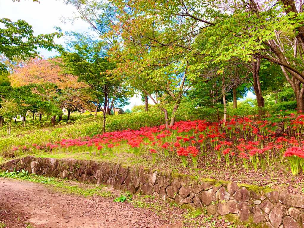 ハイジの村