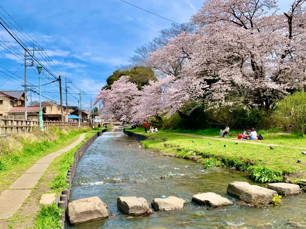 新河岸川