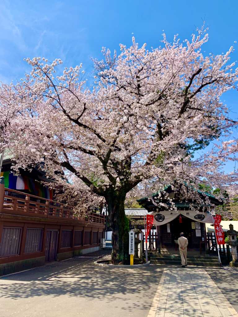 喜多院