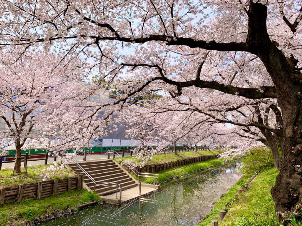 新河岸川