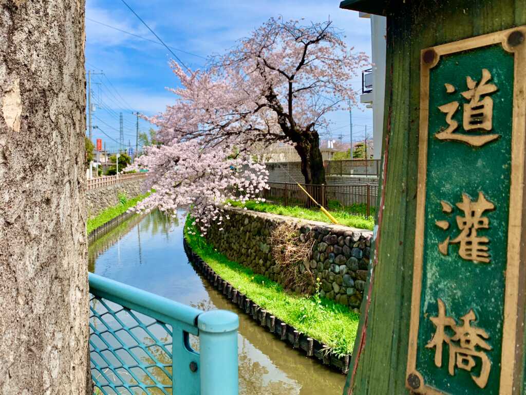 新河岸川