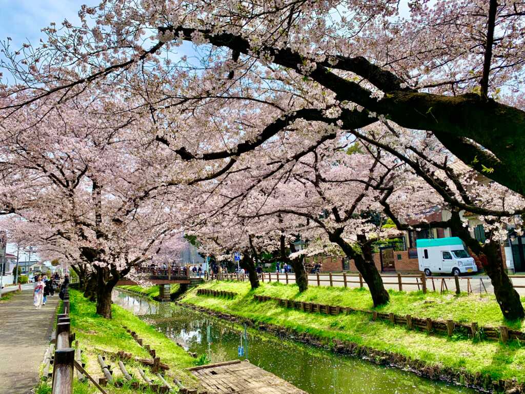 新河岸川