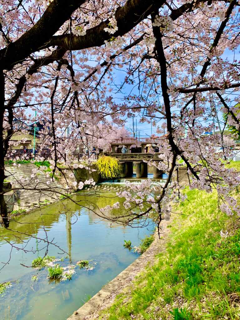 新河岸川