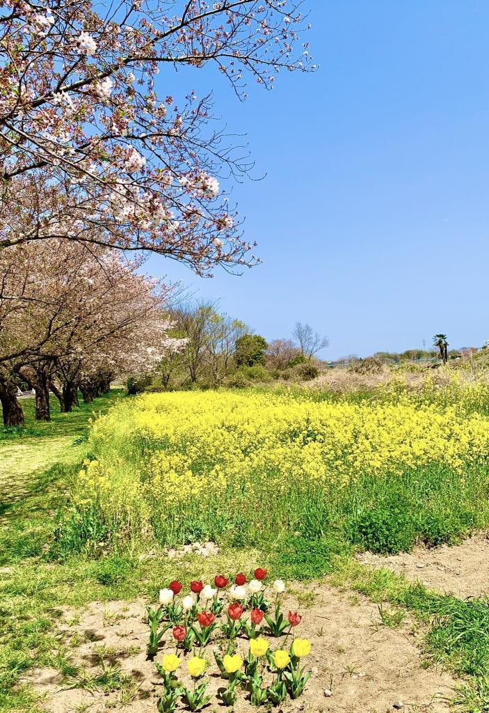 川越サイクリングロード
