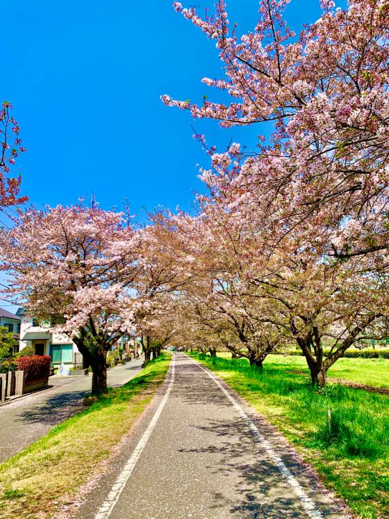 川越サイクリングロード