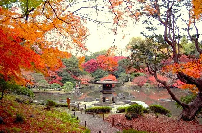 寝殿造系庭園の立地的考察 寝殿造系庭園の立地的考察 - メルカリ