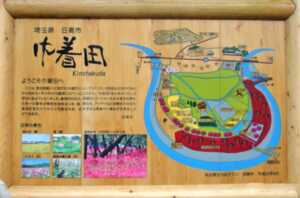 高麗川　巾着田の曼殊沙華群生