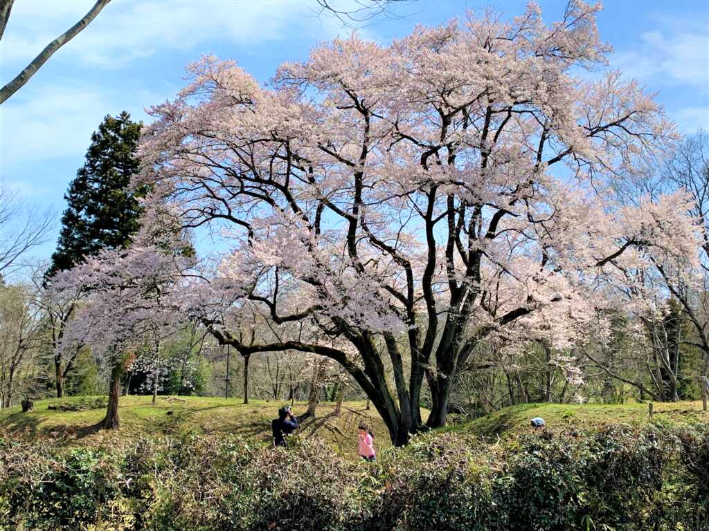 鉢形城
