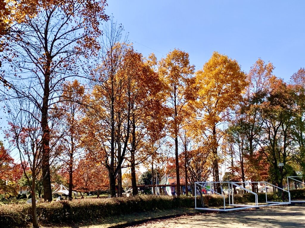 平成の森公園