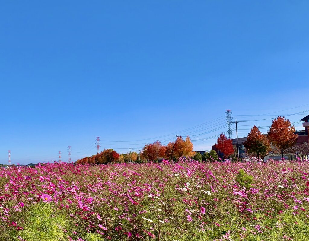 平成の森公園