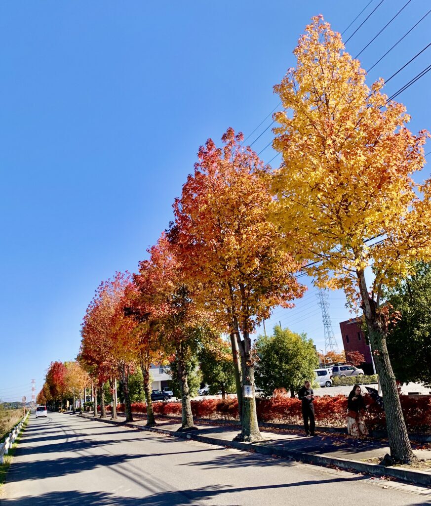 平成の森公園
