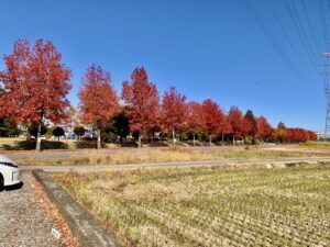 平成の森公園