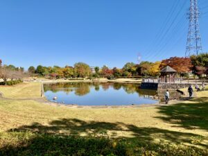 平成の森公園