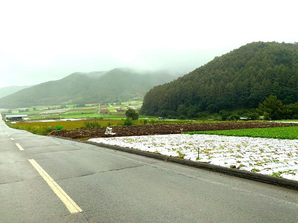 分水嶺