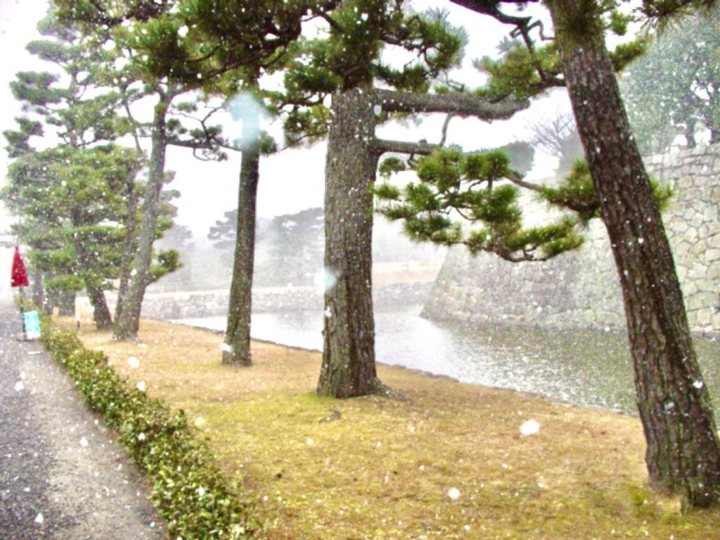 二条城