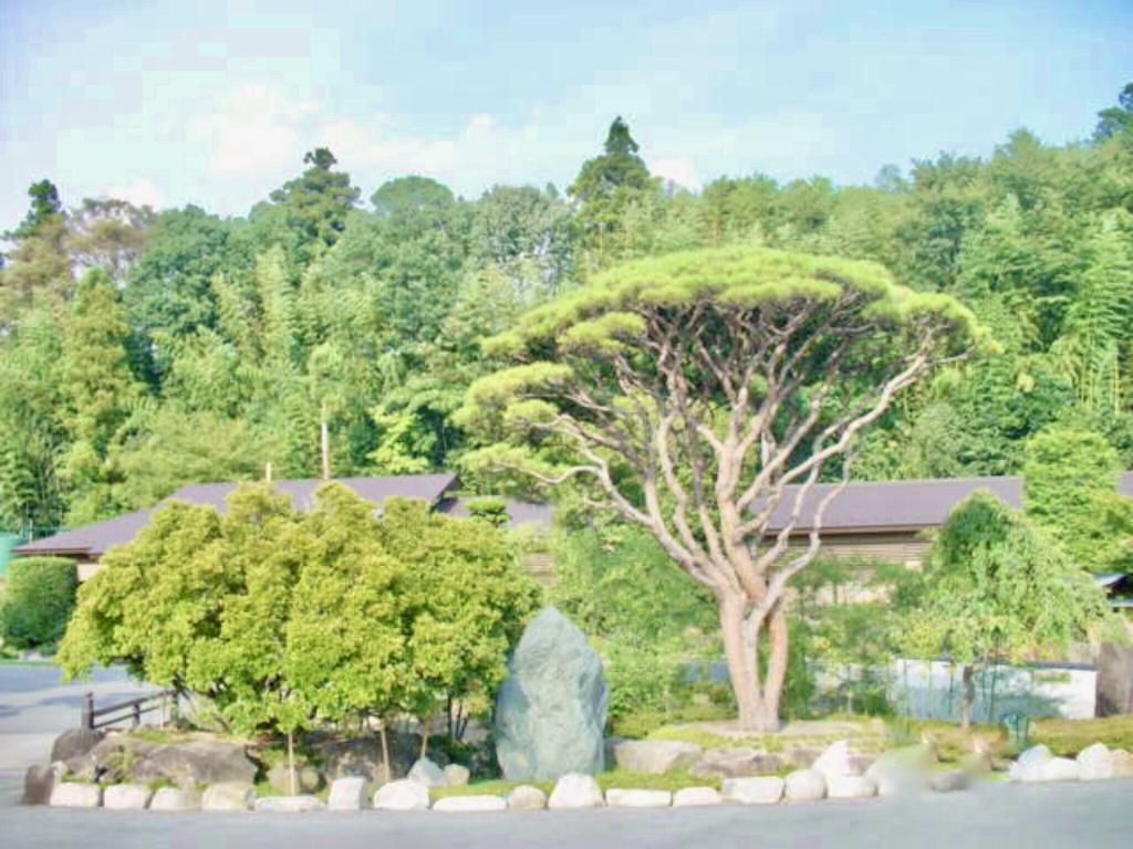 坐忘