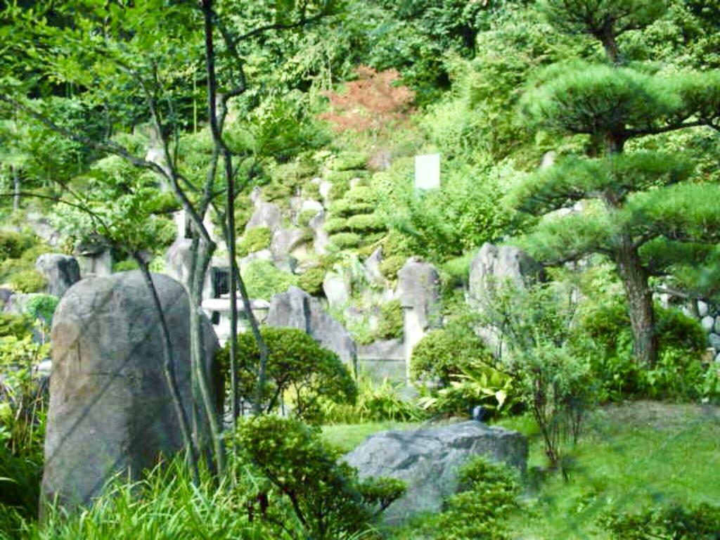 坐忘