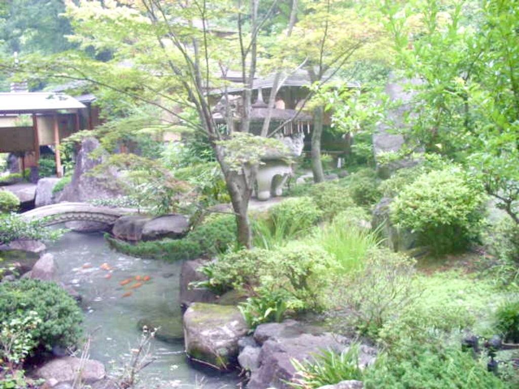 坐忘