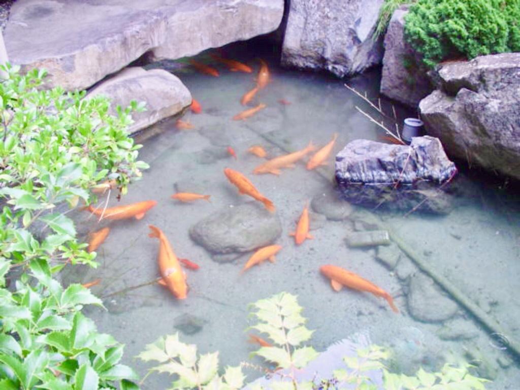 坐忘